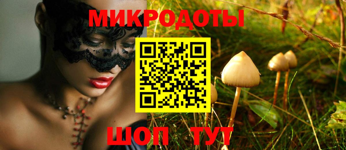 Галлюциногенные грибы мицелий Елец
